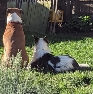 Meet your Posher, Jen